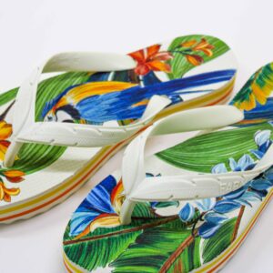 Sandalia Farm Estampa Arara Plastico Branco